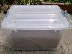 ŷ������